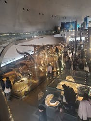 福井県立恐竜博物館に投稿された画像（2026/3/7）