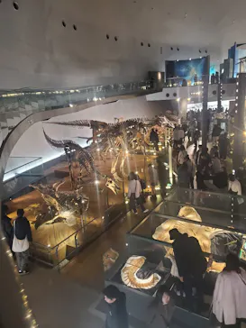福井県立恐竜博物館に投稿された画像（2026/3/7）
