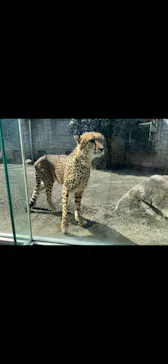 多摩動物公園に投稿された画像（2026/3/7）