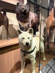 国立科学博物館に投稿された画像（2026/3/7）