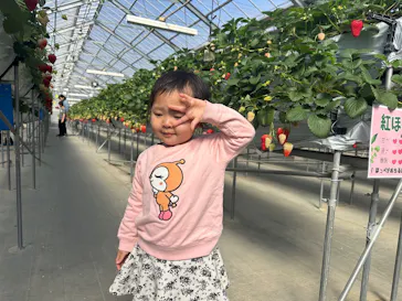 東松山市農林公園に投稿された画像（2026/3/7）