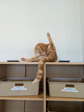 Moff animal world BIGHOPガーデンモール印西店に投稿された画像（2026/3/7）