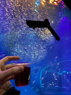 アクアワールド茨城県大洗水族館に投稿された画像（2026/3/7）