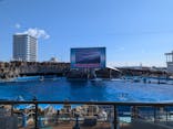 名古屋港水族館に投稿された画像（2026/3/7）