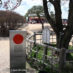 偕楽園本園に投稿された画像（2026/3/7）