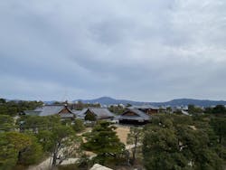 元離宮二条城に投稿された画像（2026/3/7）