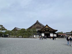 元離宮二条城に投稿された画像（2026/3/7）