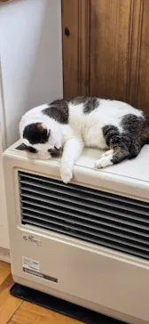 ノーザンホースパークに投稿された画像（2026/3/7）