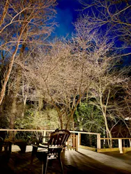 モダン湯治 おんりーゆーに投稿された画像（2026/3/7）