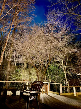 モダン湯治 おんりーゆーに投稿された画像（2026/3/7）