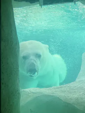 恩賜上野動物園に投稿された画像（2026/3/7）