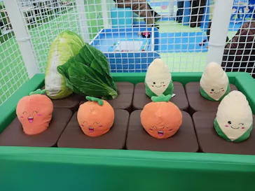 キッズランドUS 愛媛東温店に投稿された画像（2026/3/7）