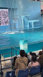 横浜・八景島シーパラダイス　プレジャーランドに投稿された画像（2026/3/7）