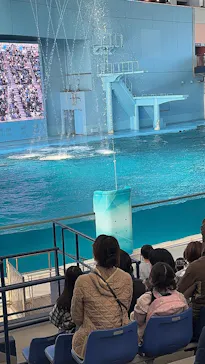 横浜・八景島シーパラダイス　プレジャーランドに投稿された画像（2026/3/7）