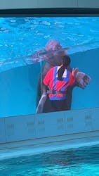 横浜・八景島シーパラダイス　プレジャーランドに投稿された画像（2026/3/7）