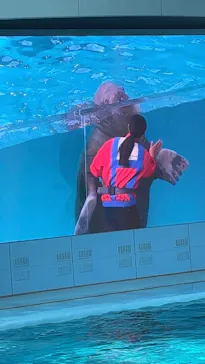 横浜・八景島シーパラダイス　プレジャーランドに投稿された画像（2026/3/7）