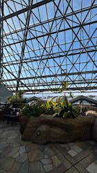 横浜・八景島シーパラダイス　プレジャーランドに投稿された画像（2026/3/7）