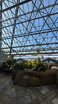 横浜・八景島シーパラダイス　プレジャーランドに投稿された画像（2026/3/7）