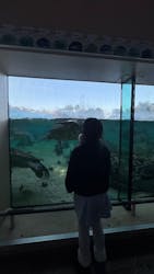 横浜・八景島シーパラダイス　プレジャーランドに投稿された画像（2026/3/7）