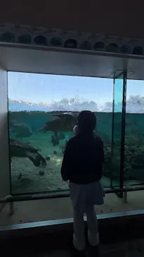 横浜・八景島シーパラダイス　プレジャーランドに投稿された画像（2026/3/7）