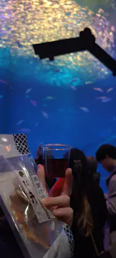 アクアワールド茨城県大洗水族館に投稿された画像（2026/3/7）