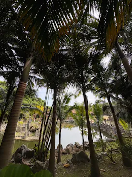 琉球村に投稿された画像（2026/3/7）