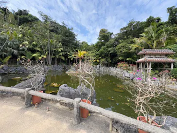 琉球村に投稿された画像（2026/3/7）