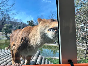 東京動物園協会_多摩動物公園に投稿された画像（2026/3/7）