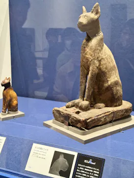 ブルックリン博物館所蔵 特別展 古代エジプト ー掘り起こせ、三千年の謎― 福岡会場に投稿された画像（2026/3/7）