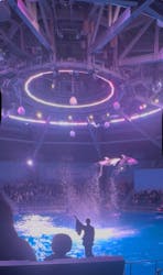 マクセル アクアパーク品川に投稿された画像（2026/3/7）