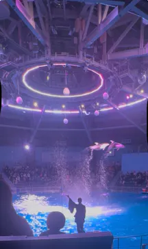 マクセル アクアパーク品川に投稿された画像（2026/3/7）