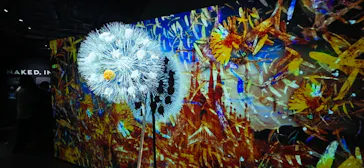 NAKED meets ガウディ展に投稿された画像（2026/3/7）