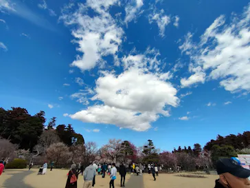 偕楽園本園に投稿された画像（2026/3/7）