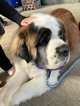 東北サファリパークに投稿された画像（2026/3/7）