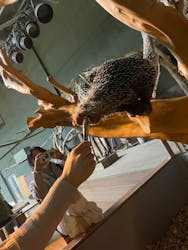 カワスイ 川崎⽔族館に投稿された画像（2026/3/7）