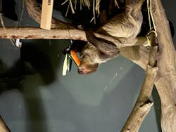 カワスイ 川崎⽔族館に投稿された画像（2026/3/7）