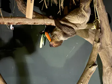 カワスイ 川崎⽔族館に投稿された画像（2026/3/7）