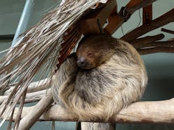 カワスイ 川崎⽔族館に投稿された画像（2026/3/7）