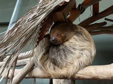 カワスイ 川崎⽔族館に投稿された画像（2026/3/7）