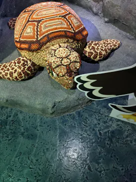 レゴランドⓇ・ジャパン・リゾートに投稿された画像（2026/3/7）