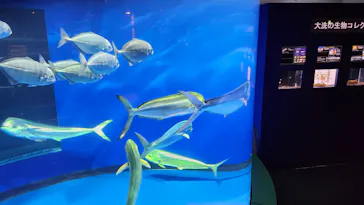 アクアワールド茨城県大洗水族館に投稿された画像（2026/3/7）