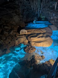 おきなわワールドに投稿された画像（2026/3/7）