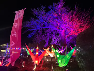 伊豆高原グランイルミに投稿された画像（2026/3/7）