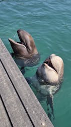 太地町立くじらの博物館に投稿された画像（2026/3/7）