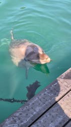 太地町立くじらの博物館に投稿された画像（2026/3/7）