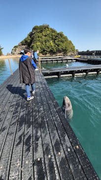 太地町立くじらの博物館に投稿された画像（2026/3/7）