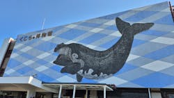 太地町立くじらの博物館に投稿された画像（2026/3/7）