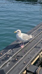 太地町立くじらの博物館に投稿された画像（2026/3/7）