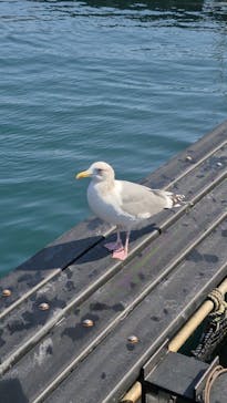 太地町立くじらの博物館に投稿された画像（2026/3/7）