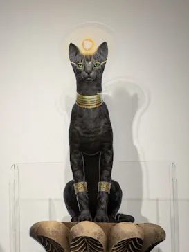 IMMERSIVE JOURNEY 名古屋に投稿された画像（2026/3/7）